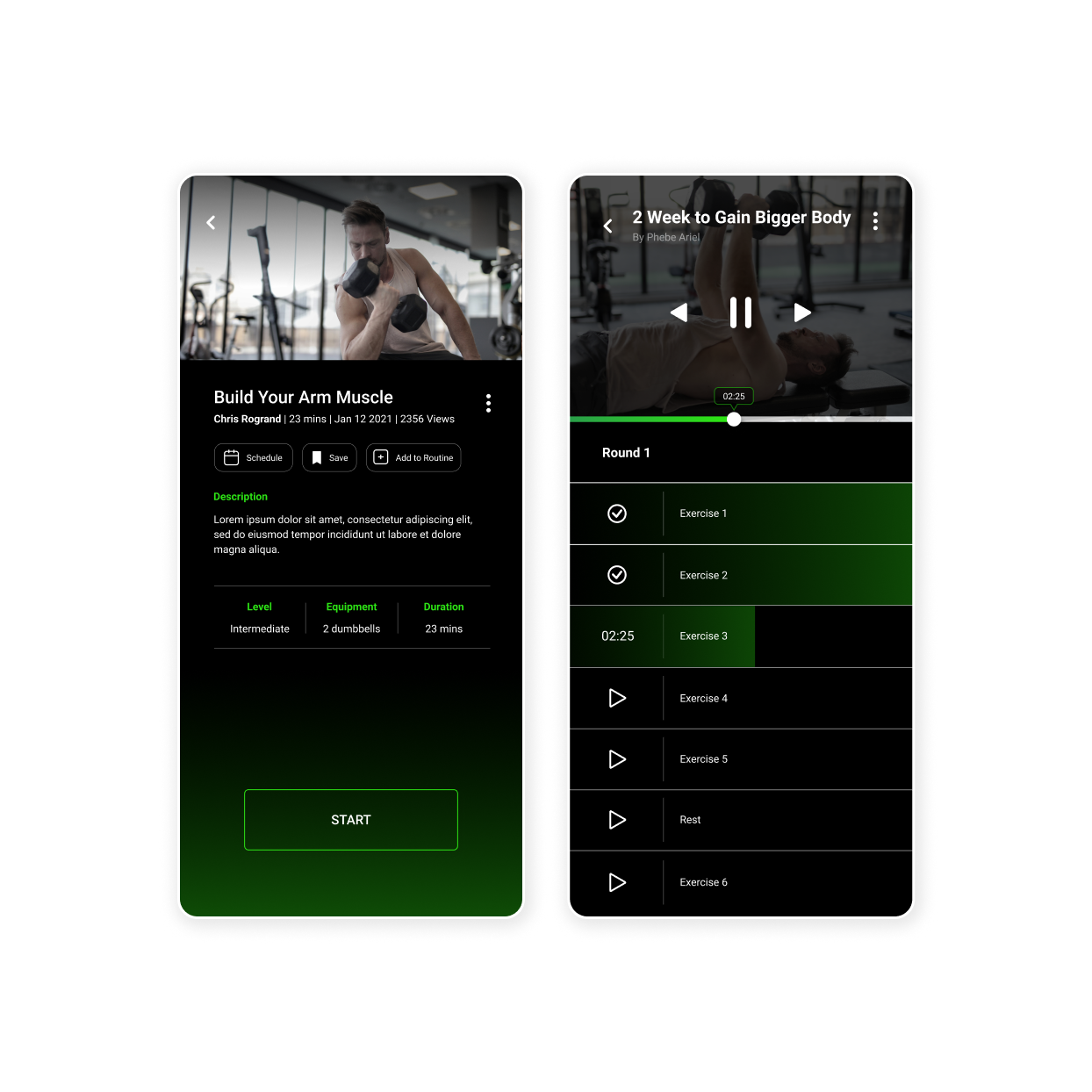 Workout system